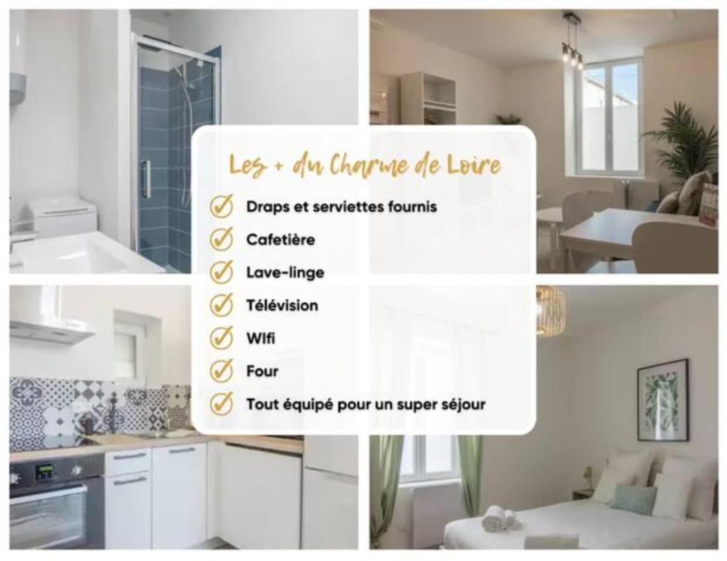 Charme De Loire A St Ay *T2* Apartman Saint-Ay Kültér fotó